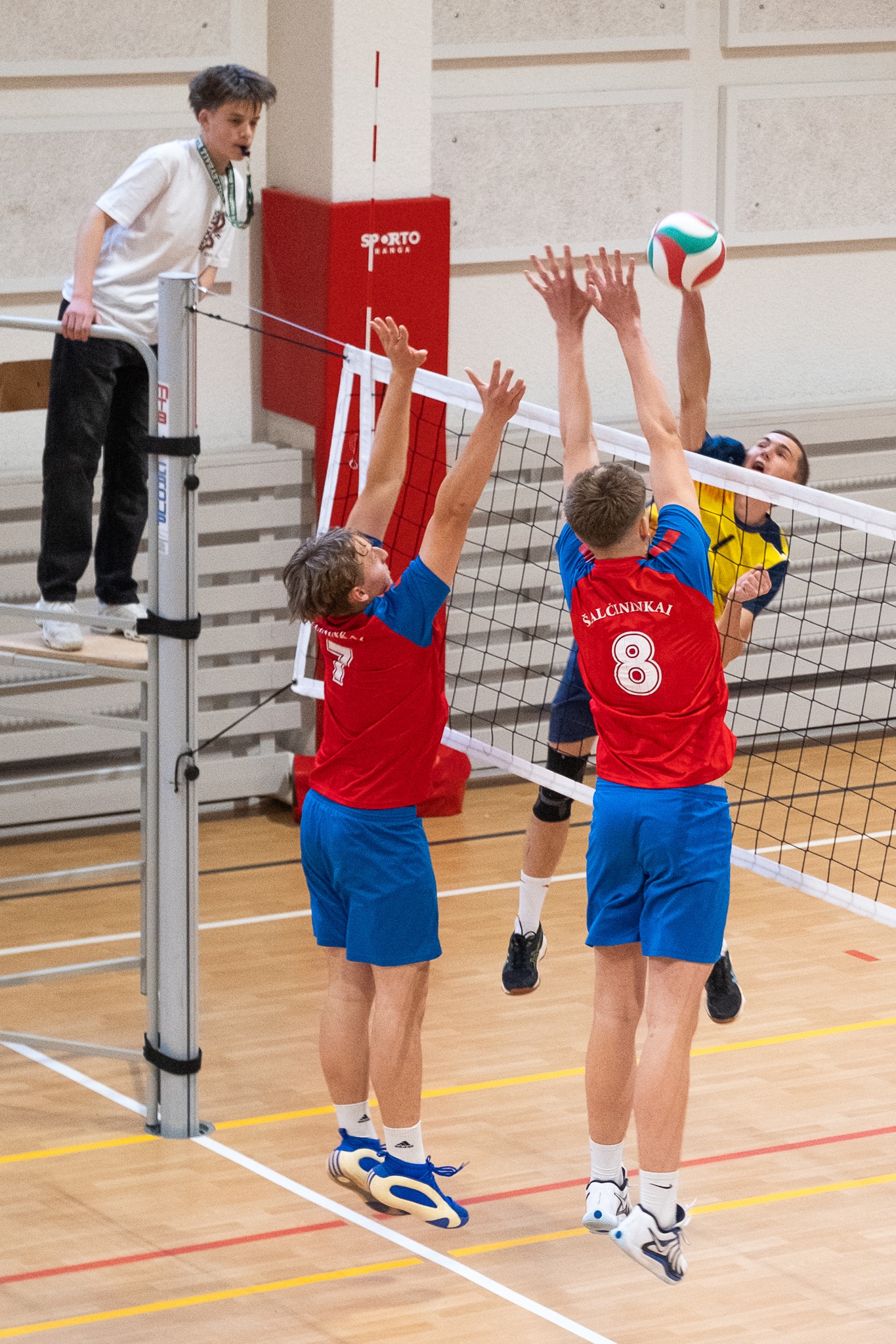 Šalčininkų rajono pavasario tinklinio čempionatas
